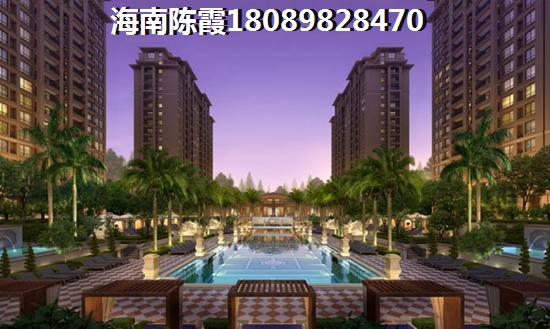 海棠101樓盤