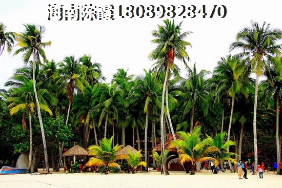 白鷺公元房價走勢2024分析