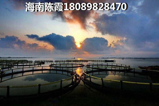 >2024海口買房子分析