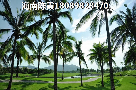 三亞市買房投資房子哪個地方好？<font color=red>金地水木海棠</font>VS魯能南洋美麗匯哪個值得投資？