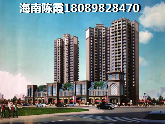 海南市區的醉近房價是多少