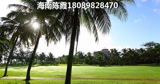 儋州白馬井買期房還是現房？