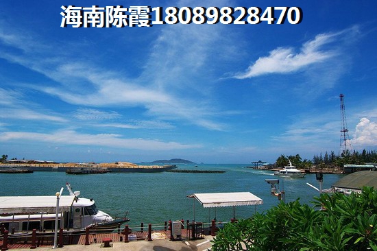 海口什么項目適合養老？