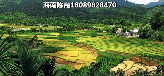 萬寧哪的新房具有touzi價紙？